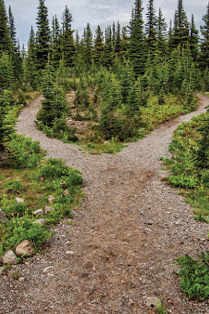 Home Back Country Basics