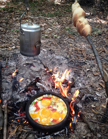 Home Back Country Basics